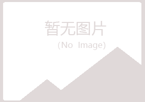 兴山区凝阳采矿有限公司